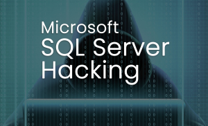 SQL-Hacking