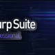 Burp Suite